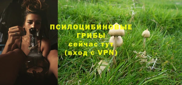 прущая мука Медвежьегорск