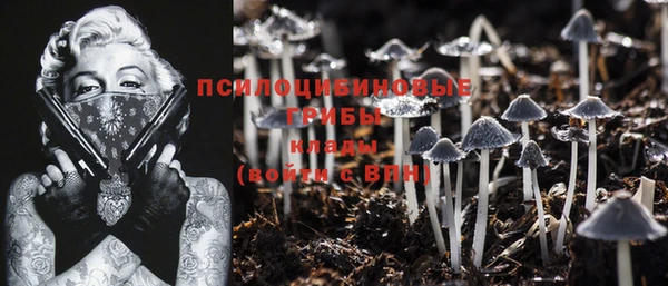 кокс Мегион