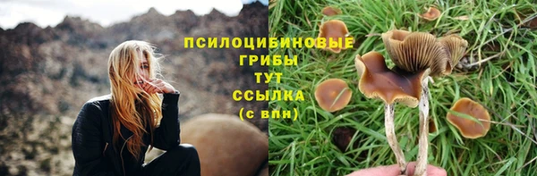 прущая мука Медвежьегорск