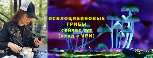 спиды Медногорск