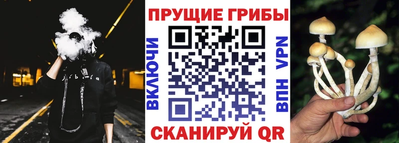 Галлюциногенные грибы ЛСД  кракен маркетплейс  Ростов-на-Дону 
