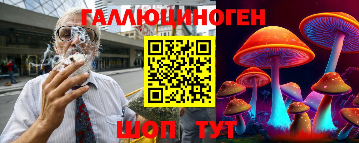Галлюциногенные грибы Psilocybine cubensis Ростов-на-Дону